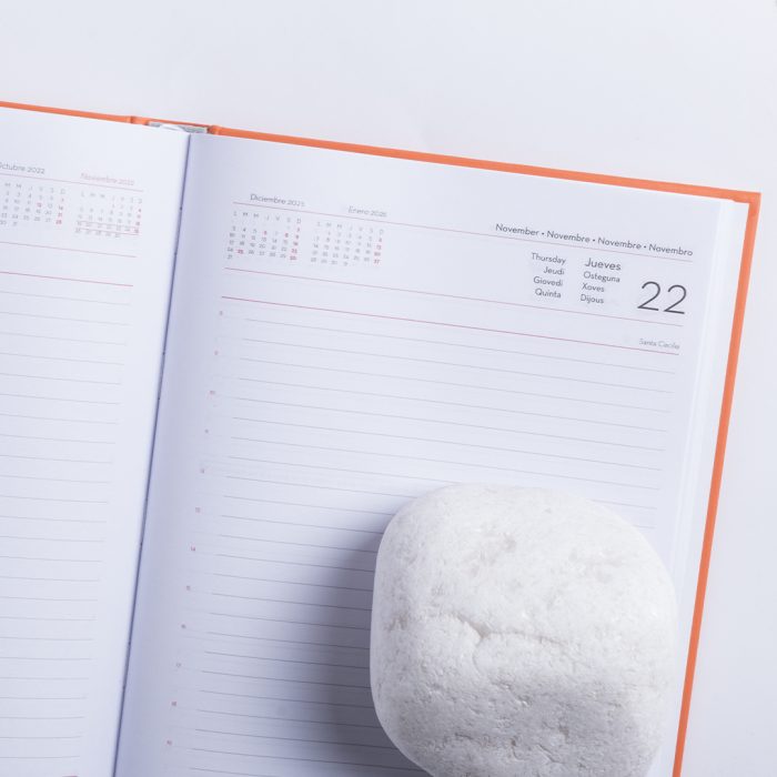 Agenda Waltrex