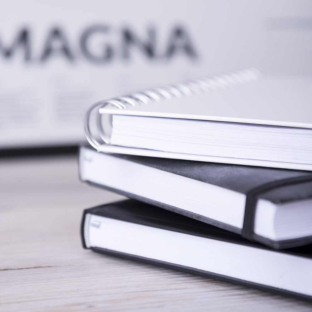 Agenda Waltrex - Imagen 8